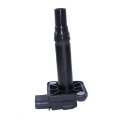 1Pcs AN-4 AN4 Straight Black Swivel Fuel Oil Gas Line Hose End Fitting Adapter
